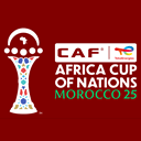 Кубок африканских наций